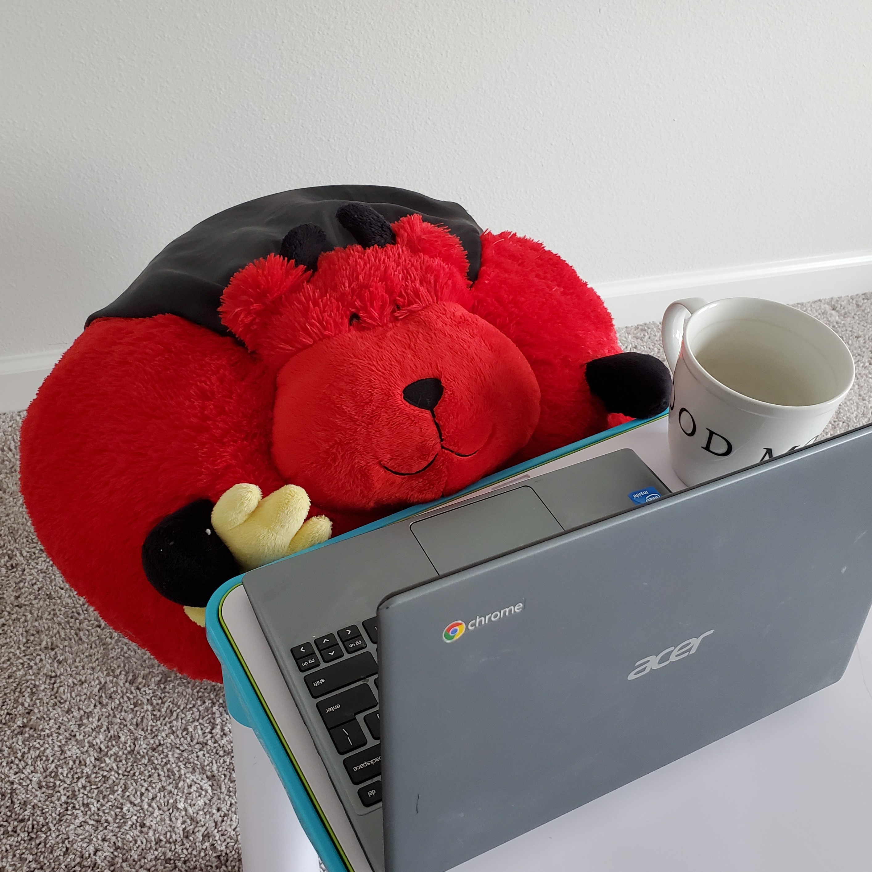 Ergonomics & Working from Home
