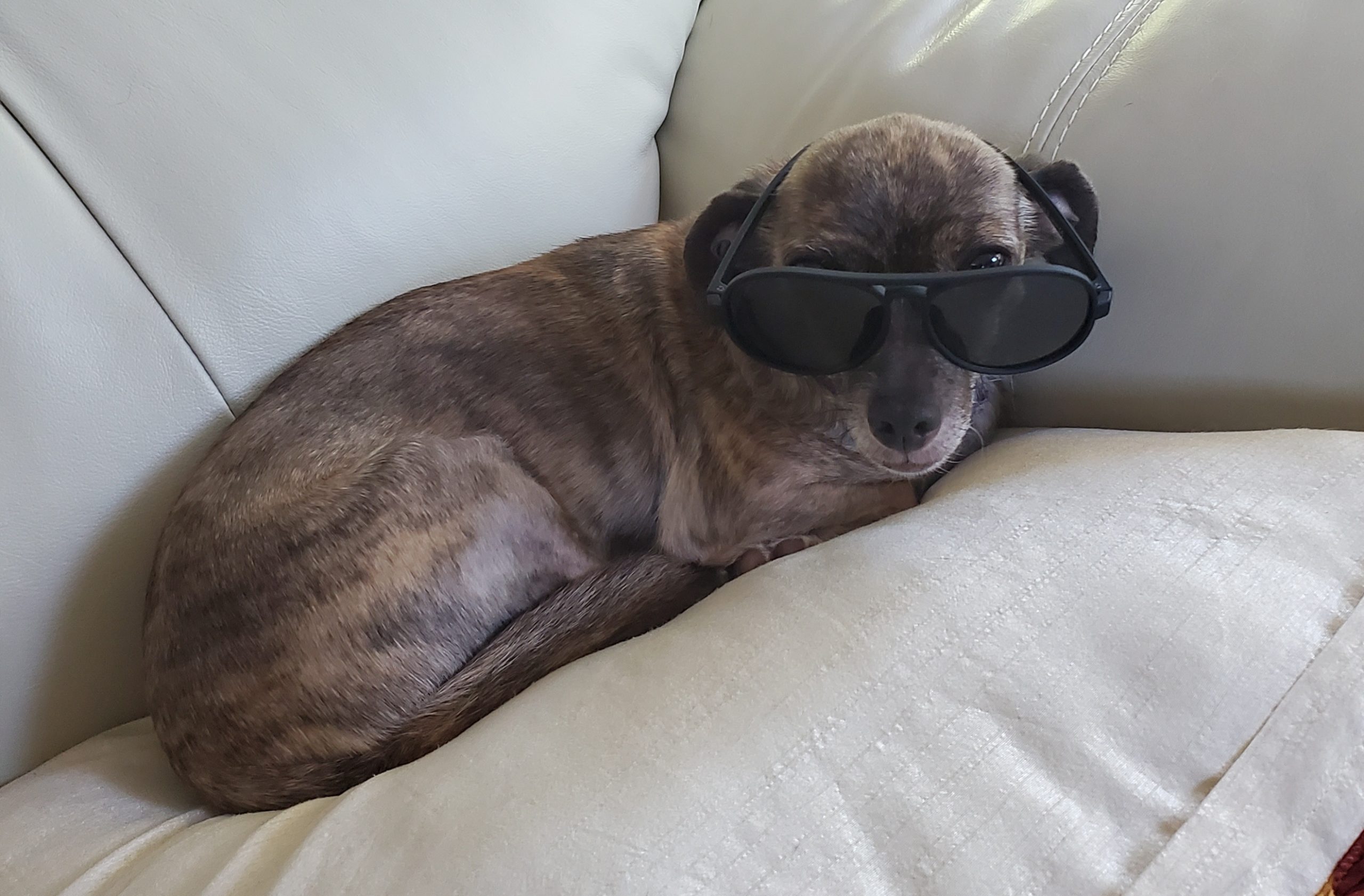 Tips for the Washington Heat Wave